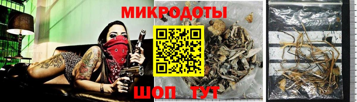 Псилоцибиновые грибы MAGIC MUSHROOMS Балабаново
