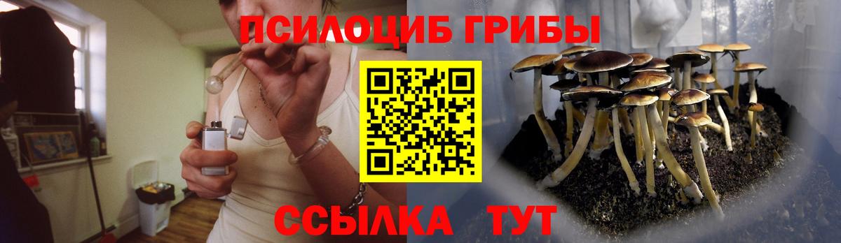 Балабаново  Псилоцибиновые грибы Magic Shrooms  Галлюциногенные грибы Magic Shrooms  Вход с VPN 